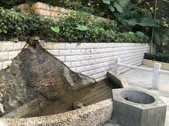 -广州市帽峰山景区