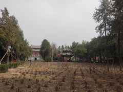 -洛阳白马寺