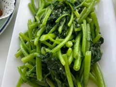 -云中小雅