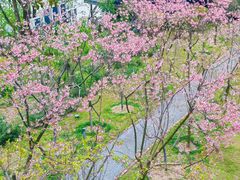 -福建鲤鱼洲酒店