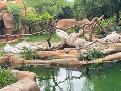 -常州淹城野生动物世界