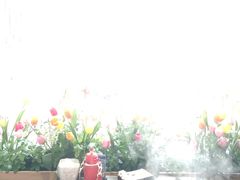 -渔珺石锅鱼·云南菜(天泽街店)