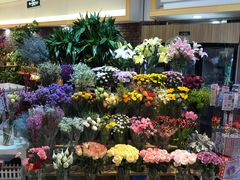 -远洋未来广场(育慧北路店)