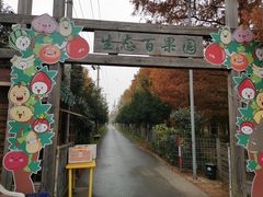 -上海长兴岛郊野公园