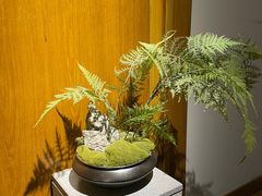 -臻品足道(后湖店)