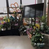 🔥中山探店｜意外发现颜值超高的宝藏餐厅