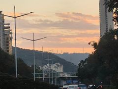 -荔香公园