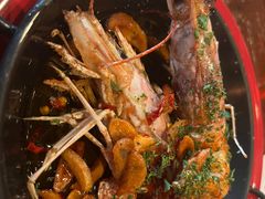 -TOMATITO(无限极荟店)