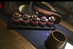 -琦品高端美容SPA会所