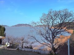 -金海湾海鲜排档(朱家尖店)