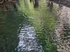 -九龙潭景区