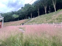 -牛岗山公园