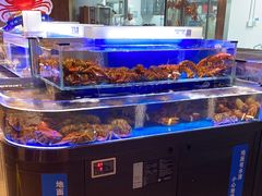 -同庆楼(天鹅酒家店)