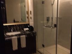 -合肥丰大国际大酒店