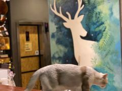 -咖法森林·咖啡  酒吧(天河店)