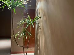 -LANN I 蘭·泰式古法按摩(长宁来福士东八区店)