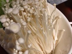 金针菇-宽窄巷子火锅(周浦店)