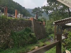 -Local泰莲庭(虹鳟鱼店)