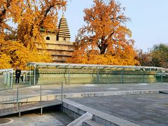 -北京石刻艺术博物馆(五塔寺)
