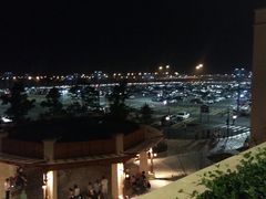 场地-迪士尼乐园停车场