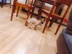 -美迦爱-牙专科·兔科·骨科诊疗中心(北苑店)