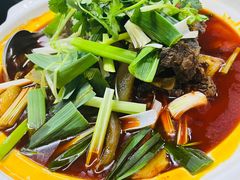 -清真双宝红油牛系列