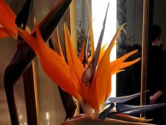 -红雀围·海鲜火锅(陆家嘴中心店)