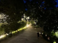 -普陀山雷迪森庄园