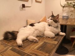 -小时光咖啡馆(北锣鼓巷店)