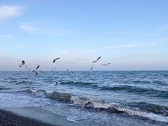 -青海湖国家重点风景名胜区