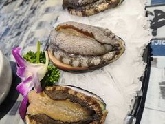 六头鲍鱼-捞围鲜·港式打边炉(海阳路店)