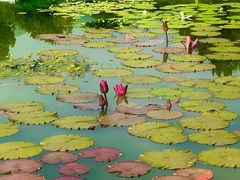 -国家植物园南园