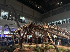 -自贡恐龙博物馆
