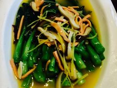 上汤菜心-见山书院