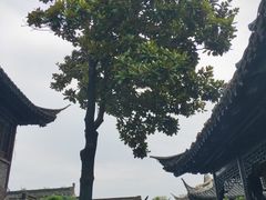 -梅园