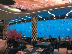 -瑞德姆美人鱼海底演艺主题餐厅(亚龙湾店)