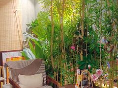 -施奈儿.洗头頭療.按摩SPA.采耳(上梅林店)