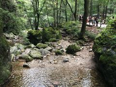 -牛背梁国家森林公园