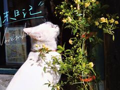 -新月集庭院咖啡馆(老邮局店)