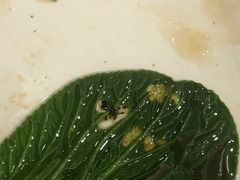 -子霖南山鲜虾面(南山总店)