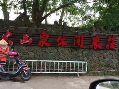 -万绿园