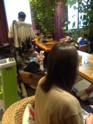 -藤野造型