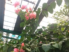 -第五季龙水凤港生态露营农场