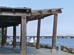 -上海吴淞炮台湾国家湿地公园