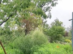 -上海植物园-4号门售票处