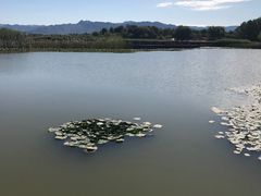 -怀来官厅水库