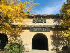 -灵谷景区