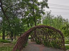 -莲花池公园