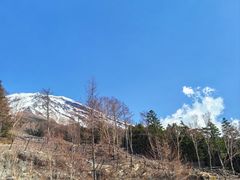 -富士山吉田線五合目