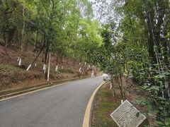 -分塔山省级森林公园